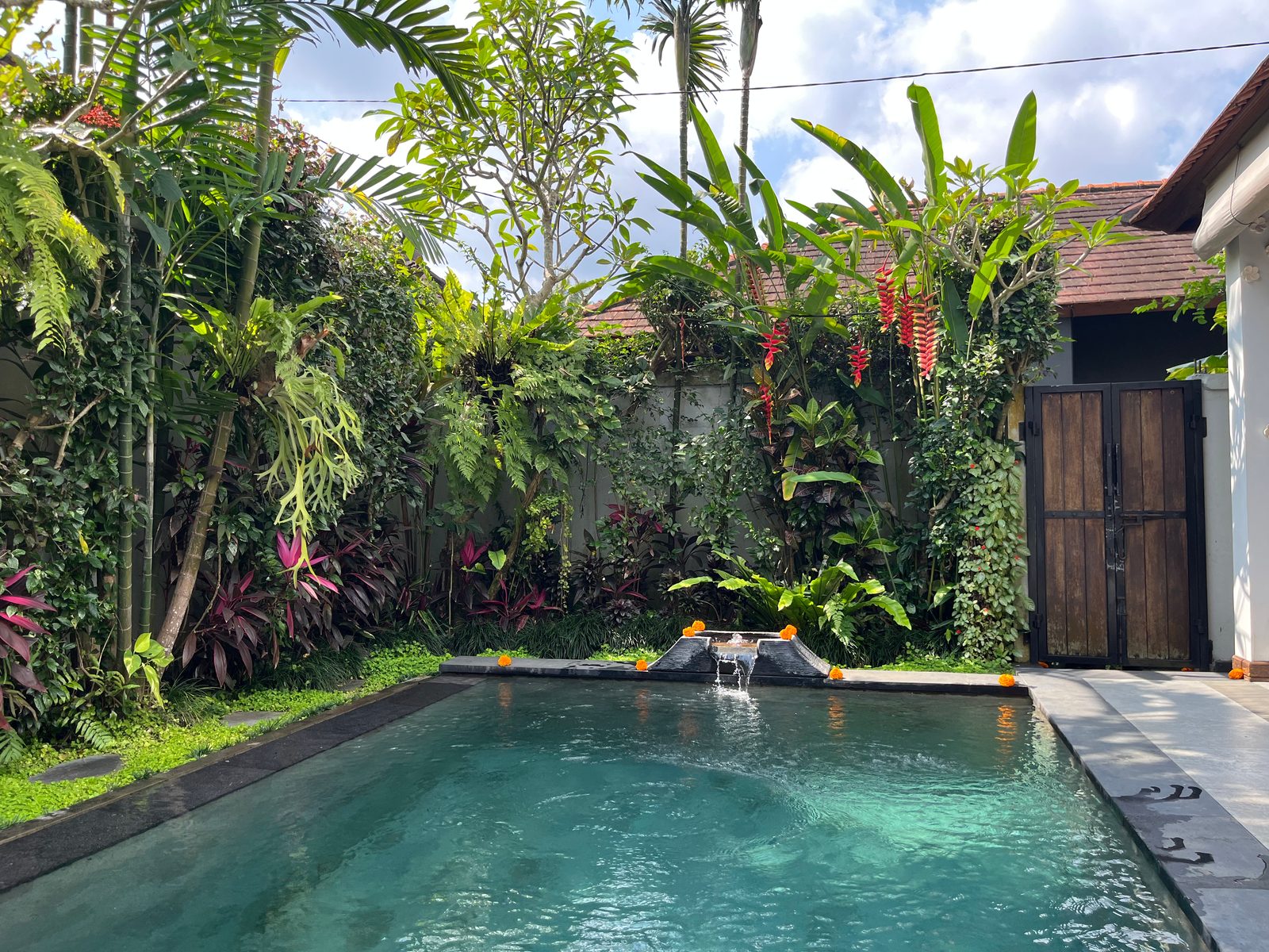 A small private pool in a walled tropical garden at a villa in Ubud