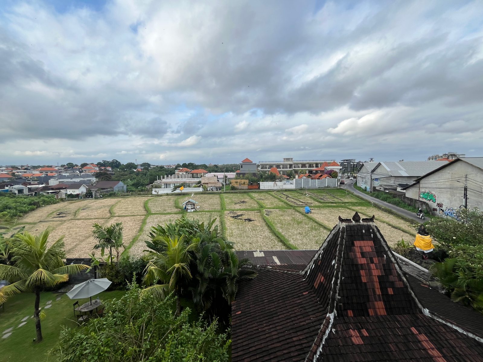 A rice field surrounded by new buildings, seen from a rooftop in Canggu