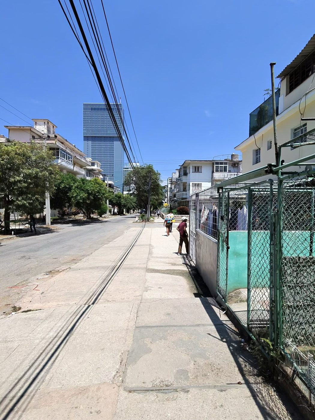 A quiet leafy street in Vedado, Havana