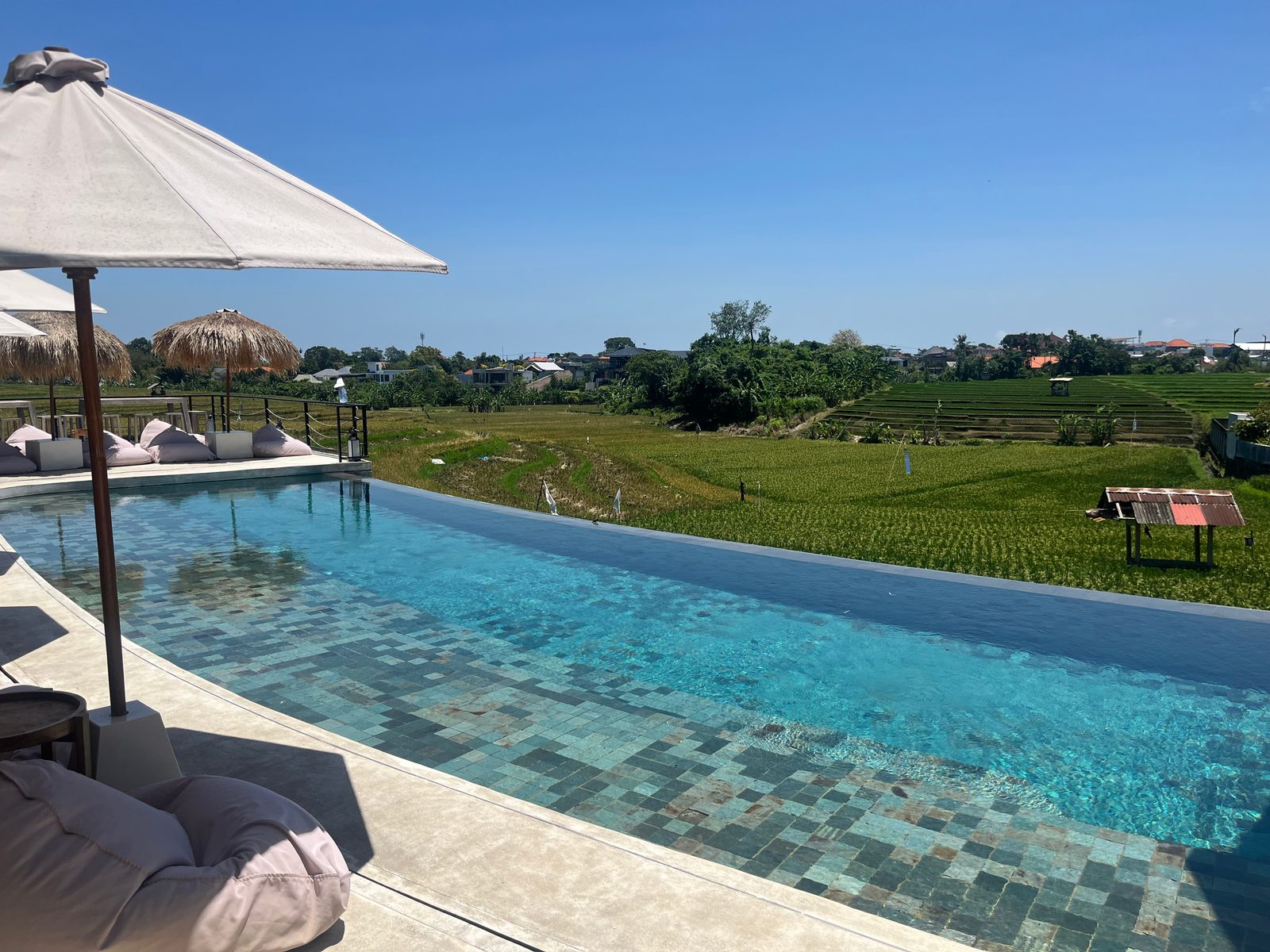An infinity pool looking out over rice fields in Canggu