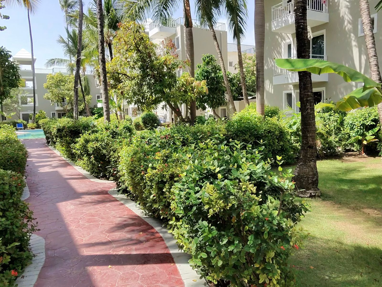 Red paved path winding through hedges, lawn and palm trees in a residential complex in Bávaro