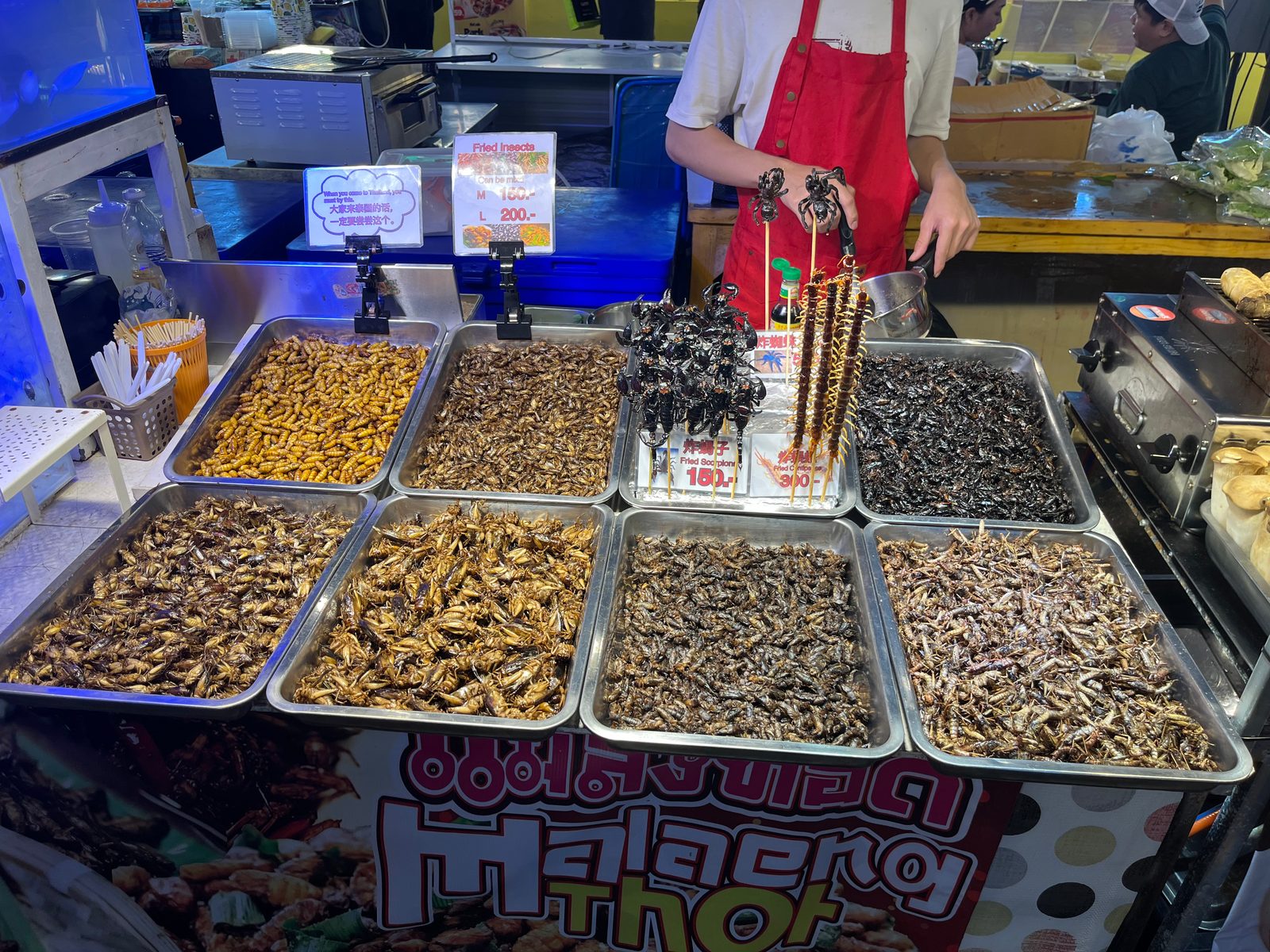 Trays of fried insects at a Bangkok night market stall, with baht price cards